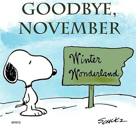 Winter November Goodbye November Quote goodbye november goodbye november quotes bye november snoopy goodbye november Goodbye November, November Quotes, Hello November, Peanuts Cartoon, Hello December, Snoopy Wallpaper, Snoopy Quotes, Snoopy Pictures, Snoop Dog