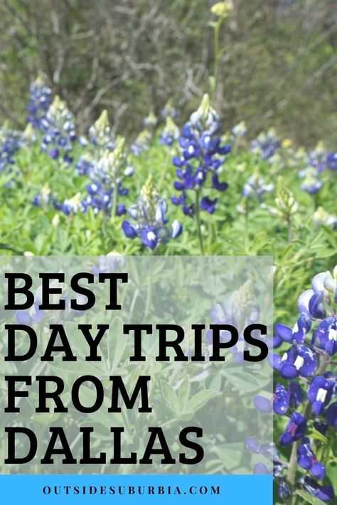 From State Parks, Small towns to Flower fields find the Best Day trips from Dallas.  #DayTripsFromDallas #TexasRoadtrips  #DallasTexas #RoadTripsFromDallas #GetawaysNearDallas #OutsideSuburbia Dallas Things To Do Bucket Lists, Dallas Itinerary, Road Trips From Dallas, Day Trips From Dallas Texas, Day Trips From Dallas, Weekend In Dallas, Texas Weekend Getaways, Kid Friendly Resorts, Weekend Family Getaways