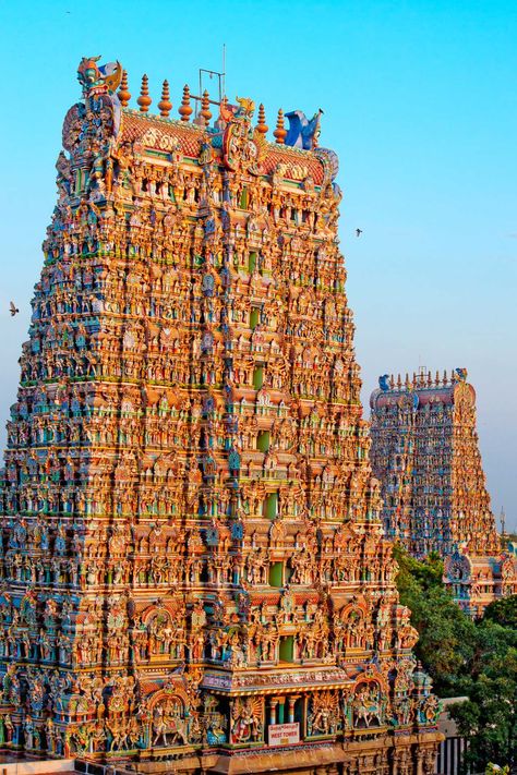 Meenakshi Temple, Weather In India, Temple India, Indian Temple Architecture, Ancient Indian Architecture, Temple Photography, Temple Architecture, Colorado Vacation, Indian Temple