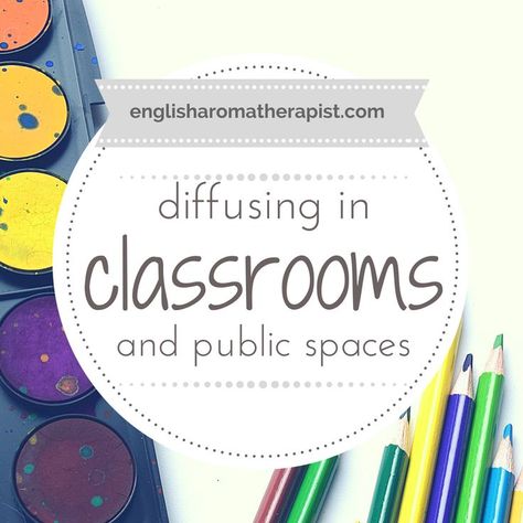 Diffusing essential oils in classrooms and public areas - a good idea? Find out more in my latest article Essential Oil Diffuser Blends For Classroom, Classroom Essential Oils, Essential Oils For The Classroom, Classroom Diffuser Blends, Best Oil Diffuser, Focus Essential Oil Blend, Diffuser Blends Young Living, Diffusing Essential Oils, Essential Oils Focus