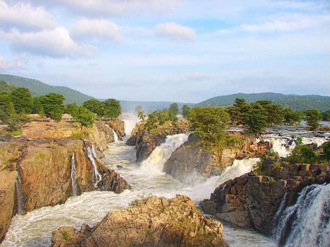 Hogenakkal Falls - WorldAtlas Hogenakkal Falls, Kaveri River, Bamboo Boat, White Egret, Kingfisher Bird, Types Of Fish, South Asia, Boat Tours, Tamil Nadu