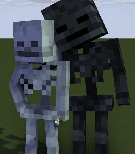 Skeleton X Wither Skeleton, Wither X Skeleton, Minecraft Screenshots, Minecraft Wither, Minecraft Character Skins, Minecraft Comics, Minecraft Drawings, Monster School, Minecraft Pictures