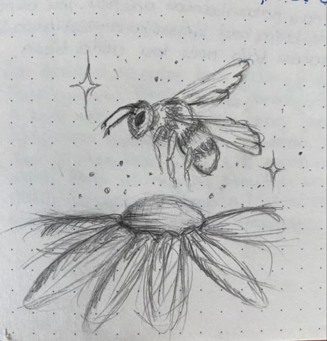 Bee and flower, bee, easy drawing ideas, drawing bee, flowers, drawing ideas, simple drawing Bee In Flower Drawing, Bees On Flowers Drawing, Flower Drawing Inspo Sketch, Bumble Bee Sketch Simple, How To Draw Bee Wings, How To Draw Bees Easy, Easy Drawing Ideas Flowers, Bee Drawings Simple, Bee Flower Drawing