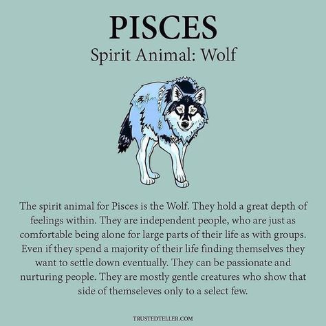 Pisces Spirit Animal, Star Sign Art, Healing Verses, Spiritual Animal, Pisces Quotes, Pisces Love, Astrology Pisces, Pisces Woman, Wolf Spirit Animal