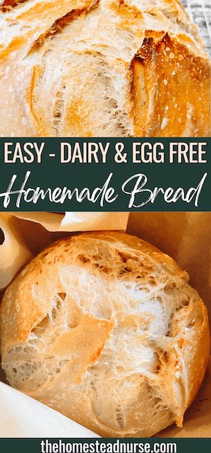 Gluten Free Dairy Free Sourdough Bread, Homemade Bread No Egg, Non Dairy Bread Recipe, Dairy Free Homemade Bread, Gluten Free Bread Without Eggs, Gluten Free Egg Free Bread Recipe, Allergen Free Bread, Easy Homemade Gluten Free Bread, Vegan Gluten Free Bread Recipe Easy