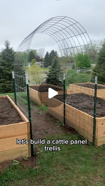 Veggie Bed Ideas, Raised Bed Garden Design Ideas, Trellis Raised Garden Beds, Birdies Garden Beds, Cattle Panel Garden Arch, Garden Beds With Trellis, Raised Beds With Trellis, Garden Design Raised Beds, Squash Trellis Ideas