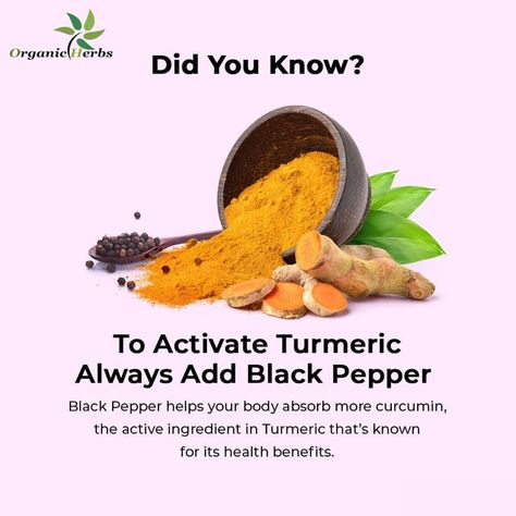 Turmeric and black pepper each have health benefits, due to the compounds curcumin and piperine. As piperine enhances curcumin absorption in the body by up to 2,000%, combining the spices magnifies their effects. With just 1/20 teaspoon or more of black pepper, the bioavailability of turmeric is greatly improved, and turmeric’s benefits are further enhanced. Black Pepper Benefits, Turmeric And Black Pepper, Pepper Benefits, Organic Herbs, Healing Herbs, Be Natural, Active Ingredient, Black Pepper, The Body