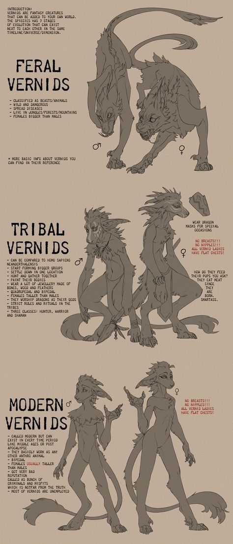 Fursuit Species Open, Species Ref Sheet, Creature Drawing Reference, Anthro Animals, Custom Species, Creature Anatomy, Anthro Base, Anthro Dragon Reference, Creature Concept Art Animals