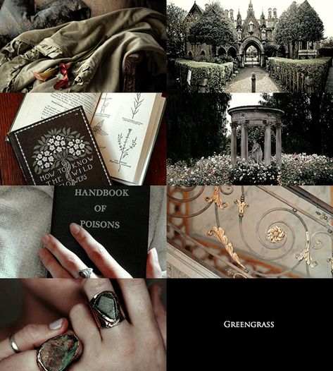 Daphne Greengrass Aesthetic, Sacred 28, Sacred Twenty Eight, Unorganized Idea, Light Film, Slytherin Aesthetic, Dark Romantic, Fantasy Aesthetic, Academia Aesthetic