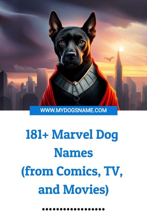 181+ Marvel Dog Names (from Comics, TV, and Movies) Marvel Names For Dogs, Disney Dog Names Boys, Marvel Dog Names, Disney Character Names, Avengers Names, Marvel Names, Boy Dog Names, Girl Dog Names, Female Dog Names