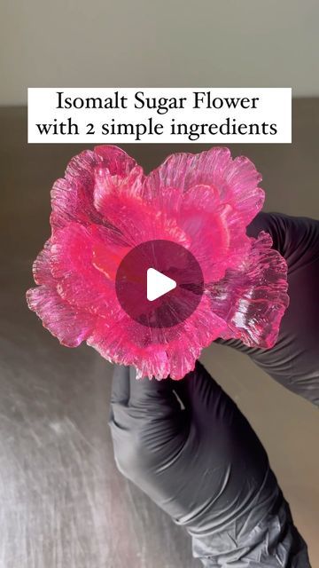 Sugar Work Decoration, Isomalt Cake Decoration, Isomalt Flowers, Isomalt Decorations Tutorials, Isomalt Decorations, Sugar Dome, Prettiest Cakes, Sugar Glass, Candy Design