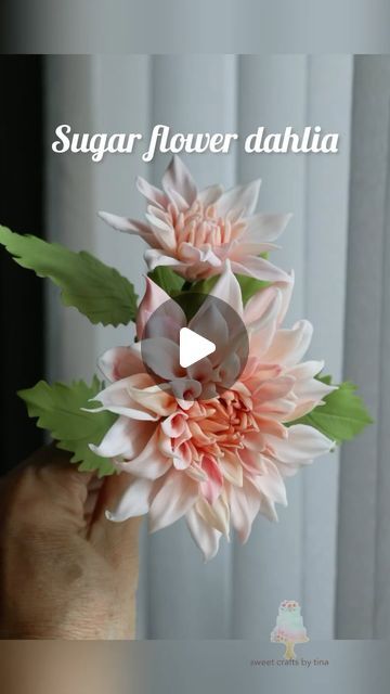 703 likes, 19 comments - sweet_crafts_by_tina στις August 1, 2024: "Following my previous post on the sugar flower dahlia-making process, this tutorial demonstrates how I created the middle and outer layers of the dahlia. I hope you’ve learned from these two reels and feel inspired to make your own beautiful and realistic sugar dahlias. #dahlias #sugarflowerclass #sugarpaste #floralcrafts #edibleflowers #waferpaperflower #weddingcake #sugarflowers #sugarflower #ediableflowers #waferpaperflowe Easy Fondant Flowers Tutorial, Gumpaste Flowers Tutorial, Dahlia Cake, Sweet Crafts, Gum Paste Flowers Tutorials, Flower Dahlia, Sugar Paste Flowers, Sugar Flowers Cake, Sugar Flowers Tutorial