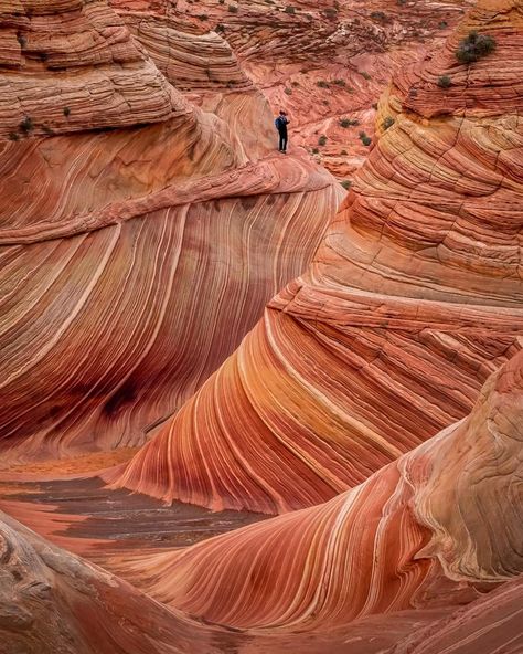 Standing on the Wave. Coyote Buttes North, Vermillion Cliffs National Monument, Arizona. The Wave Utah, Coyote Buttes, Vermillion Cliffs, Colorado Plateau, Native Plant Gardening, Amazing Nature Photography, American Southwest, National Monuments, The Wave