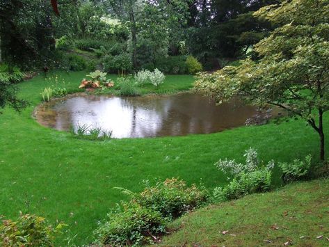 Wildlife Pond, Large Pond, Pond Construction, Fishing Pond, Naturalistic Garden, Pond Liner, Pond Landscaping, Water Bodies, Good Environment