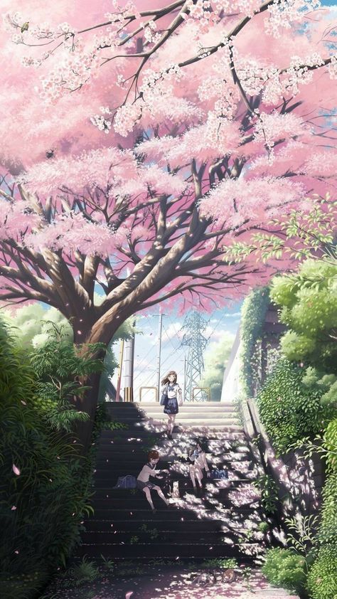 #anime #animewallpaper #pixiv Anime Cherry Blossom, Yuumei Art, Sakura Wallpaper, Cherry Blossom Girl, Cherry Blossom Wallpaper, Anime Body, Sakura Tree, Sakura Flower, Tree Wallpaper