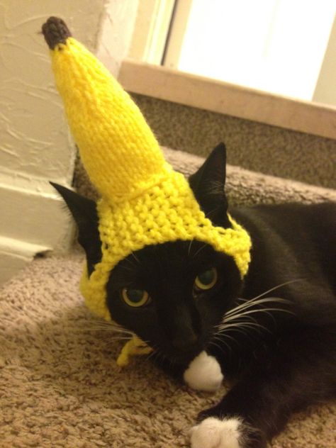 Crochet Garfield Hat, Banana Hat, Crochet Batman, Cat Hats, God Mode, Crochet Cat Hat, Graph Crochet, Cat Hat, Crochet Cat