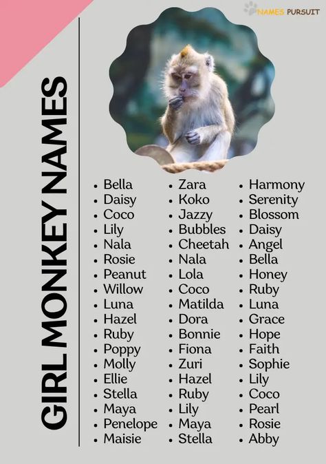 "Swing by and explore a charming collection of girl monkey names! 🐒 Perfect for your little primate princess or for a whimsical story character. Pin your favorites and share with those on the lookout for the perfect name. #GirlMonkeyNames #MonkeyMagic Monkey Names, Girl Monkey, Cute Pet Names, Monkey Girl, Story Prompts, Cute Names, Great Hairstyles, Funny Girl, Baby Monkey