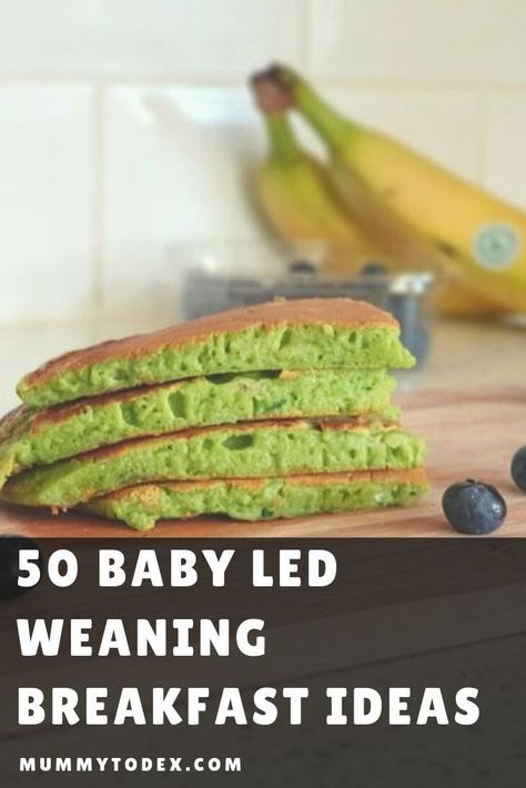 Looking for baby led weaning breakfast ideas? Unsure what finger food you can offer your weaning baby at breakfast time? Then read this ultimate list of baby breakfast foods which has over 50 baby led weaning breakfast ideas and recipes perfect for your weaning baby and suitable breakfast ideas for the whole family too #babyledwenaing #blw #blwideas #babyledweaningideas Baby Led Weaning Breakfast Ideas, Led Weaning Breakfast, Baby Led Weaning Breakfast, Weaning Baby, Baby Led Weaning First Foods, Weaning Foods, Baby Breakfast, Baby Led Feeding, Baby Led Weaning Recipes