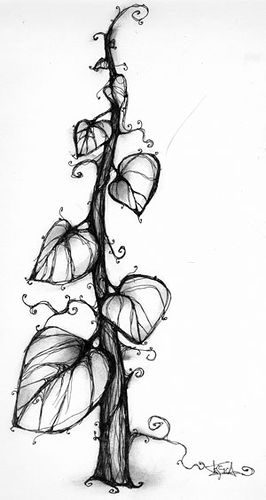 Bean Stalk Beanstalk Drawing, Bean Stalk, Color Art Lessons, Vine Drawing, Plant Sketches, Free Rein, Easy Love Drawings, Art Centre, Nature Drawing