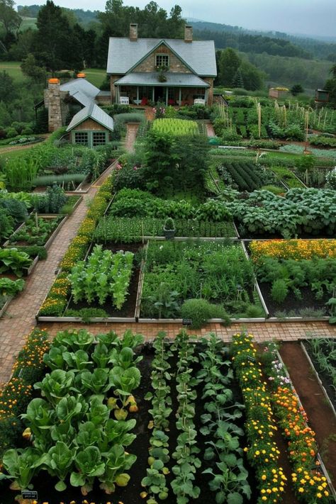 Vegetable Garden Design Layout, Vegetable Garden Layouts, Animal Expressions, Beginners Gardening, Vege Garden, Vegetable Garden Ideas, Dream Backyard Garden, Garden Layouts, Homestead Life