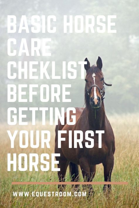 Are you ready for your first horse? Getting a new horse is always an exciting time! It would bring you a lot of happiness, as well as responsibility. Make sure you are ready for your first horse before you make a final decision. Here is a checklist for you, so you can make sure everything is ready to welcome your new friend! You have to understand the basics of feeding the horse. Each horse is different and accordingly has different needs. The amount of feed your horse needs will depend on m Senior Horse Care, Horse Ownership, Buy A Horse, Winter Horse, Horse Care Tips, Horse Info, Horse Riding Tips, Horse Health, Horse Supplies