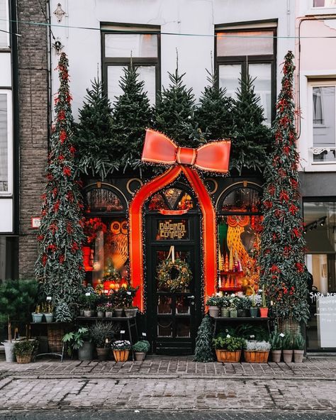 The ShopKeepers (@the_shopkeepers) • Instagram photos and videos Christmas Store Displays, Christmas Shop Displays, Flower Shop Display, Christmas Shop Window, Tree Decoration Ideas, Amazing Christmas Trees, Christmas Service, Christmas Window Display, Antwerp Belgium