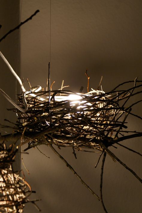 nest light Twig Light Fixture, Bird Nest Chandelier, Birds Nest Tree Topper, Bird Nest Jewelry, Growing Moss, Birds Nest Necklace, Bird Nest, Luminaire Design, Diy Lamp