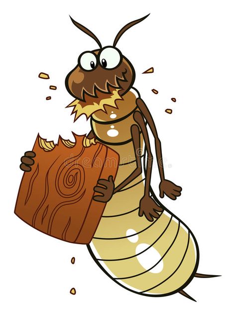 Termite eats wood. Cartoon termite eats piece of wood. Cartoon pest series , #Affiliate, #wood, #Cartoon, #Termite, #eats, #pest #ad Se Mata, Signs Of Termites, Drywood Termites, Black Insects, Wood Termites, Termite Control, Wooden Buildings, Cute Animal Drawings, Pest Control