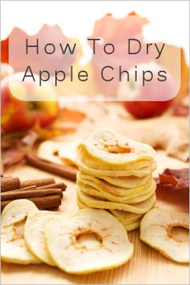 Dry apple chips in the oven Cinnamon Apple Chips Baked, Dried Apple Chips, Cinnamon Apple Chips, Preworkout Snack, Dried Fruit Snacks, Nutritional Snacks, Dehydrated Fruit, Apple Chips, Dried Apples