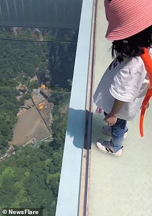 Girl, three, steps onto China's terrifying glass bridge 870ft above the ground | Daily Mail Online Wow Video, Wait For It, 웃긴 사진, Clipuri Video, Paradise Island, Funny Vid, Funny Video Memes, On The Edge, Funny Clips