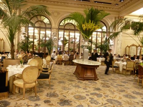 Plaza Hotel - Palm Court New York The Palm Court The Plaza, Windsor Court Hotel New Orleans, The Colony Palm Beach, The Colony Hotel Palm Beach, Palms Casino Resort, Palm Court, Plaza Hotel, Front Room, The Good