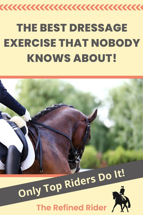 Most equestrians have never been taught this fabulous dressage exercise that will help you horse be supple, straight, engaged, and more! Equestrian Training, Dressage Exercises Training, Vaulting Horses, Dressage Tests, Dressage Exercises, Horse Training Exercises, Dressage Training, Horse Exercises, Workout At Work