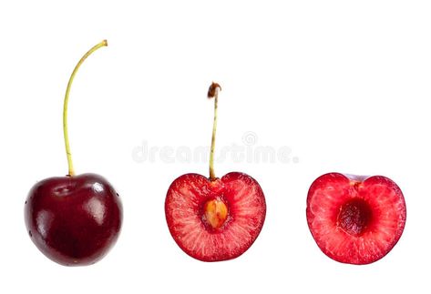 Cherry Drawing, Cherry Tattoos, White Image, Brochure Design Template, Funky Art, Adobe Stock, Stock Images Free, Line Art, Art Reference