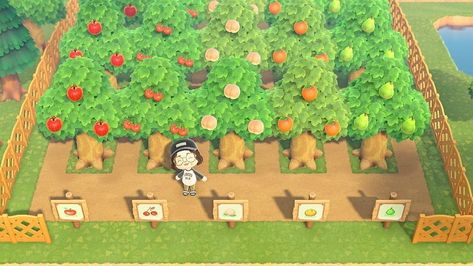 ACNH inspiration ❀ on Instagram: “❀ cute orchard ❀ [tumblr / fairiecrossing]  #animalcrossing #acnh #newhorizons #animalcrossingnh #animalcrossingnewhorizons #acnewhorizons…” Orchard Design, Animal Crossing 3ds, Animals Crossing, Ac New Leaf, Animal Crossing Guide, Animal Crossing Qr Codes Clothes, Animal Crossing Wild World, Qr Codes Animal Crossing, Animal Crossing Villagers