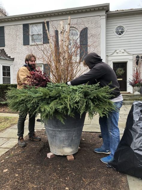 Container Arrangements, Winter Pots, Christmas Urns, Outdoor Christmas Planters, Deborah Silver, Chirstmas Decor, Container Planting, Outside Christmas Decorations, Winter Arrangements