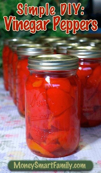 How To Can Cherry Peppers, Canning Cherry Peppers, Pickled Red Peppers Recipe, Vinegar Peppers Recipe, Canning Hot Cherry Peppers, Pickled Cherry Peppers Canning, Pickling Peppers, Pickled Cherry Peppers, Vinegar Peppers