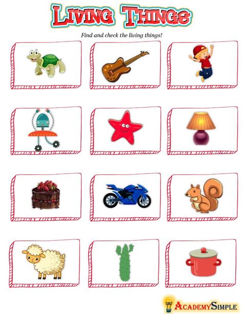 Things Around Us Preschool, Things Around Us Worksheet, Non Living Things Images, Living Things And Non Living Things, Science Living Things, Non Living Things, Characteristics Of Living Things, Animal Worksheets, Animals And Plants