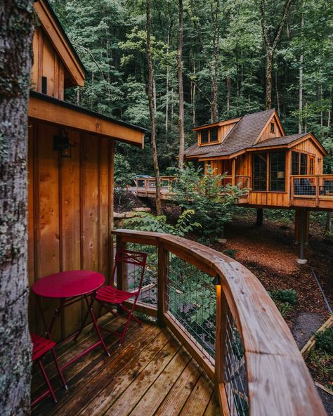 Cozy nights are calling your name! Experience autumn foliage on a road trip to Treehouse Grove in Gatlinburg, TN. - - - #autumn #treehousegrove #GSMNP #smokymountains #cozycabin Gatlinburg Tennessee Cabins, Mini Cabin, Tennessee Cabins, Normal House, Gatlinburg Tennessee, Autumn Foliage, Gatlinburg Tn, Tree Houses, Cozy Cabin