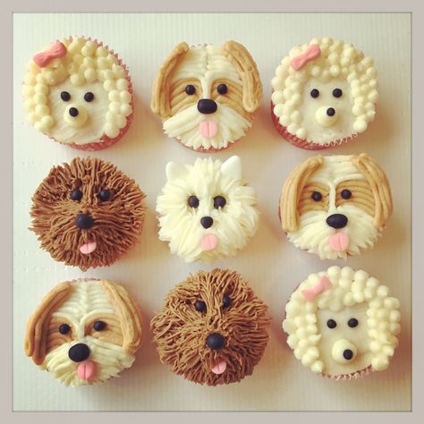 Cute Puppy Cupcakes, Bernedoodle Cupcakes, Cupcakes That Look Like Dogs, Dog Design Cupcakes Ideas, Birthday Cupcakes Dog Theme, Cupcakes Decorated Like Dogs, Puppy Party Cupcakes, Animal Face Cupcakes, Cat And Dog Cupcakes