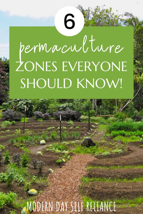 When designing a property following permaculture principles, it’s common to use “the zone approach.” This means dividing a property into defined zones based on proximity to the main dwelling and the intended use of each area. Learn how to use permaculture zones to best plan and manage your homestead! What Is Permaculture, Permaculture Garden Design Ideas, Tropical Permaculture Design, Permaculture For Beginners, Small Permaculture Garden Design, Swales Permaculture, Agroforestry Permaculture, Permaculture Design Layout, Permaculture Pond