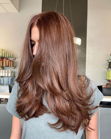 35 Chestnut Brown Hair Colors You Gotta See Next (Photos) Light Chestnut Brown Hair Color, Light Chestnut Brown Hair, Dark Chestnut Brown Hair, Chestnut Brown Hair Color, Brown Hair Colour, Brown Auburn Hair, Hair Color Brown Chestnut, Copper Brown Hair, Light Auburn Hair