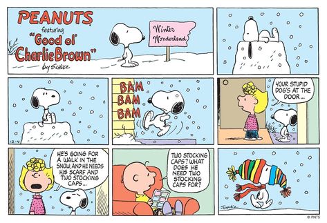 Sunday Comics, Snoopy Collectibles, Snoopy Comics, Snoopy Cartoon, Peanuts Comic Strip, Snoopy Funny, Snoopy Quotes, The Peanuts, Stocking Cap