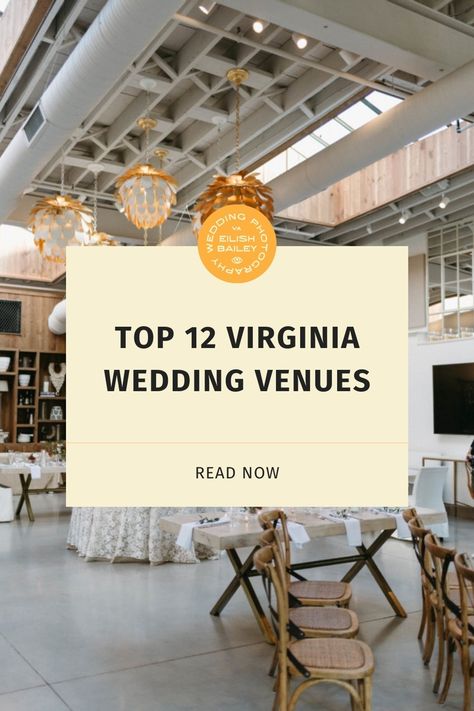 I’ve traveled all over Virginia photographing weddings. I’ve narrowed down 12 of my absolute favorite Virginia wedding venues! They range from classic and elegant to industrial and modern – there are all types of wedding venues in Virginia and certainly one for everyone’s taste. West Virginia Wedding Venues, Lewis Ginter Botanical Garden, Wedding Venues In Virginia, Industrial Wedding Venues, Wedding Venues Indoor, Black Wall Street, Virginia Wedding Venues, Library Wedding, Wedding Reception Locations