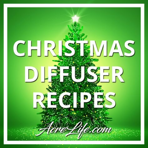 Essential Oil Christmas Diffuser Recipes - Acre Life Christmas Tree Diffuser Blend, Christmas Tree Essential Oil Blend, Christmas Diffuser Recipes, Essential Oil Christmas, Christmas Tree Essential Oil, Smells Of Christmas, Christmas Diffuser Blends, Wintergreen Essential Oil, Essential Oil Reed Diffuser