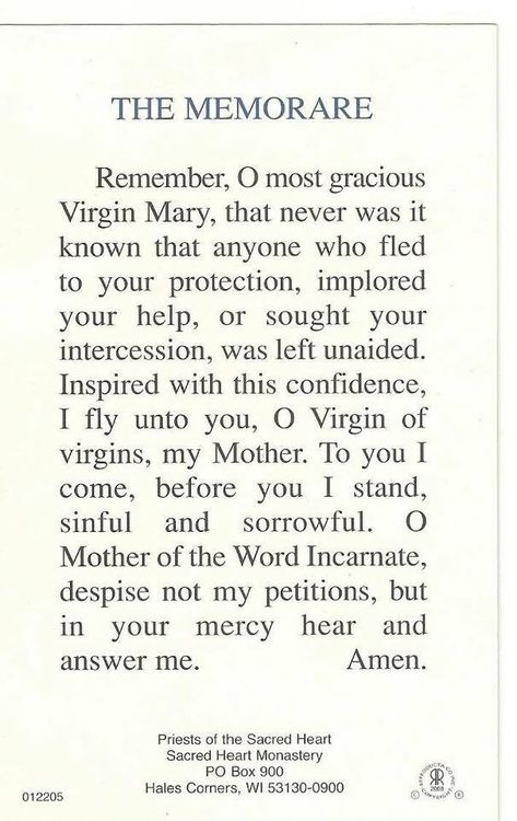 The Memorare 🙏 "Remember, O Most Gracious Virgin Mary, that never was it known..." Remember Oh Most Gracious Virgin Mary, Memorare Prayer Virgin Mary, Memorare Prayer, The Memorare, Buddy Christ, Spanish Prayers, Jesus Mother, Blessed Mary, Classroom Quotes