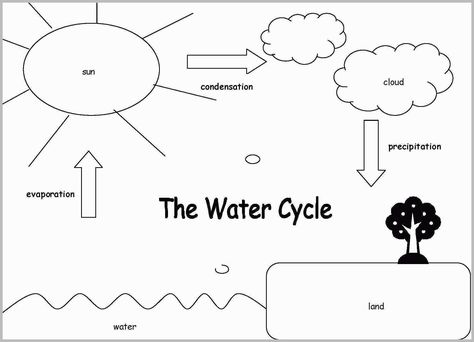 Exclusive Picture of Water Cycle Coloring Page - entitlementtrap.com Water Cycle Craft, Water Cycle Lessons, Water Cycle For Kids, Water Cycle Diagram, Hydrological Cycle, Water Cycle Activities, Water Cycle Worksheet, Cloud Graphic, Cycle Drawing