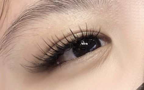 Wispy Lashes Asian Eyes, Asian Lashes Extensions, Manga Eyelashes Extensions, Eyelash Extensions For Asian Eyes, Lash Extensions Asian Eyes, Asian Lash Extensions, Manga Lashes Extensions, Natural Fake Eyelashes, Lashes Fake Eyelashes