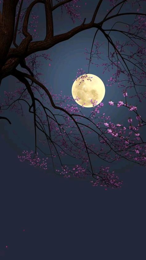 Black Iphone Background, Beautiful Night Sky, Dark Nature, Snap Ideas, Beautiful Nature Wallpaper Hd, Night Sky Wallpaper, Beautiful Flowers Photos, Midnight Garden, Dark Nature Aesthetic