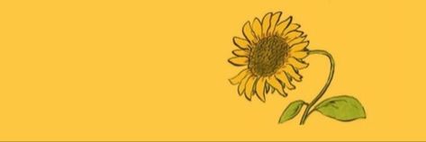 Sunflower Header, Sunflower Banner, Yellow Submarine, Blog Themes, Facebook Cover Photos, Twitter Header, Facebook Cover, One Direction, Cover Photos