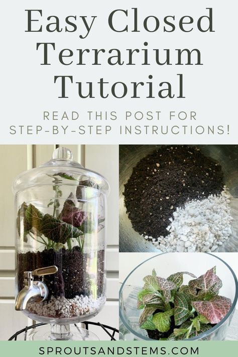 Check out this step-by-step tutorial for how to easily build a closed terrarium! Closed terrariums are their own mini ecosystems, which is super cool. They look complicated, but they're not! In this post I review an easy step-by-step DIY—how to create your own closed terrarium, layer by layer | sproutsandstems.com #diy #terrarium #sproutsandstems Closed Terrarium Ideas Diy How To Make, Closed Terrarium Layers, Terrarium Soil Layers, Diy Closed Terrarium, Terrarium Care Instructions, Closed Terrarium Ideas Diy, Terrarium Layers, Houseplant Diy, Terrarium Ideas Unique